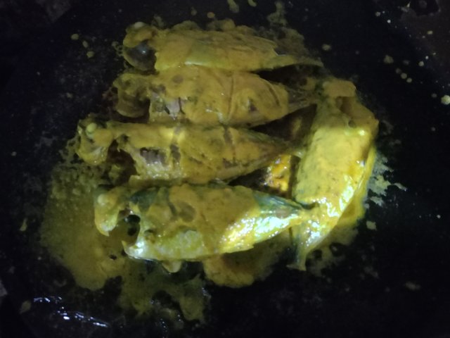IMG20250618122557.jpg