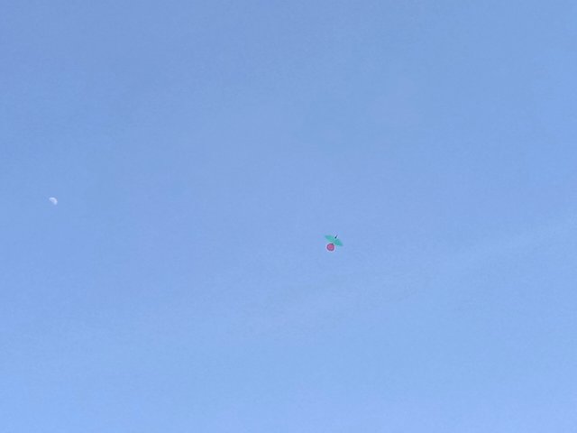IMG20250802170005.jpg