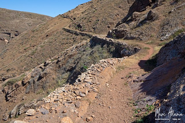 DSC_7706 copie.jpg