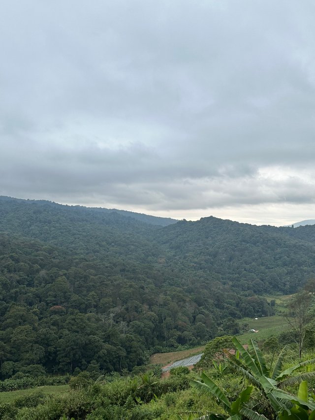 Phu Thap Boek3.jpg