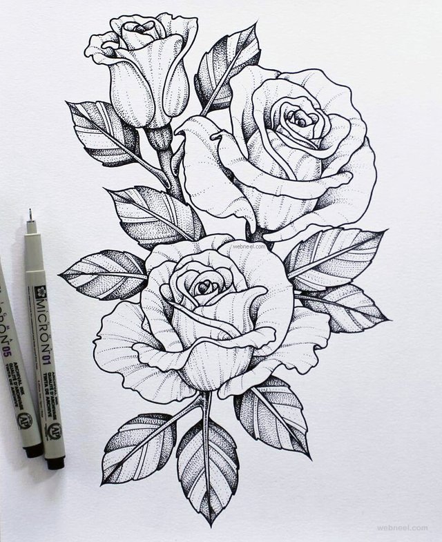 2-flower-drawing-rose.jpg