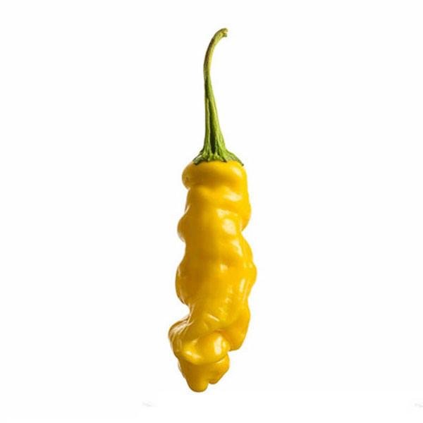 yellow-peter-pepper-hot-pepper-joes_1024x1024.jpg