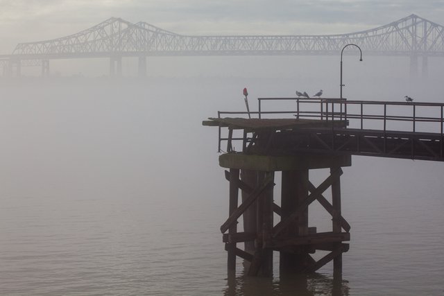 Foggy Pier and CCC.jpg