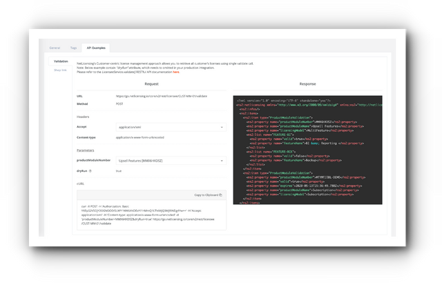 netlicensing-validate-api-access.png
