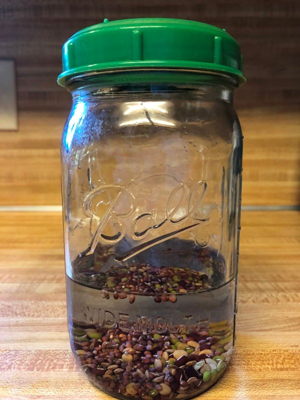 Soaking Seeds.JPG