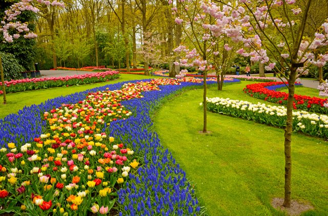 Keukenhof-Gardens-Lisse-Netherlands.jpg