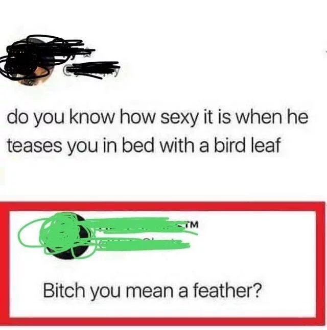 Bird-leaf-sounds-better.jpg