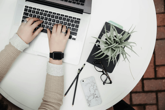 person-using-laptop-computer-beside-aloe-vera-scaled.png