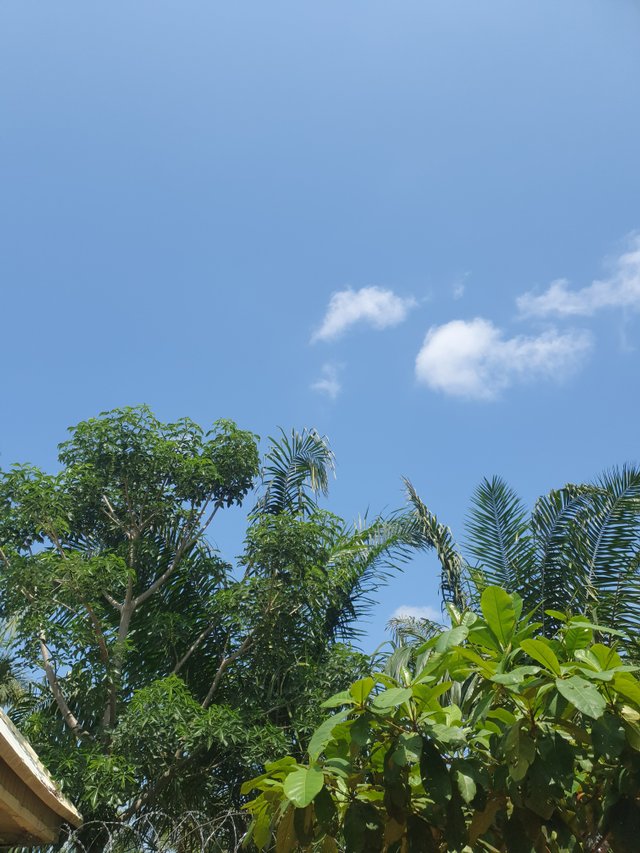 20250609_104641.jpg