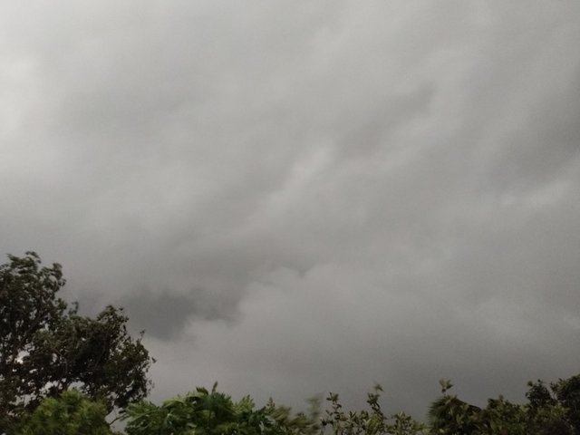 IMG20230523152529.jpg