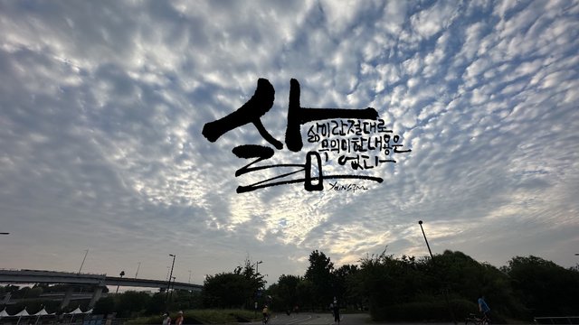 IMG_3156.jpeg