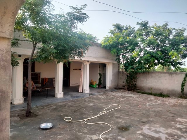 IMG20250805170655.jpg