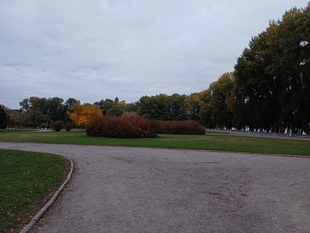 20251015_071529.jpg