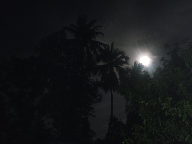 IMG_20240721_222014_513.jpg