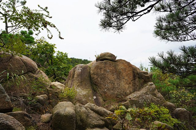 b-DSC02077.JPG