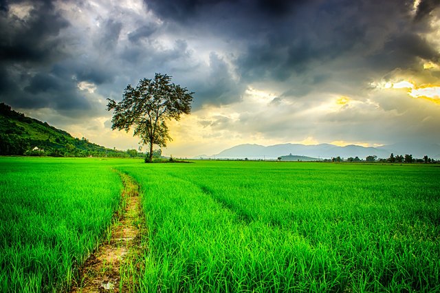 clouds-cloudy-countryside-236047.jpg