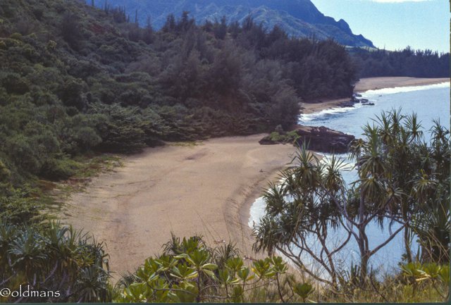 kauai beaches-4.jpg