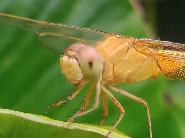 IMG20251002141732.jpg