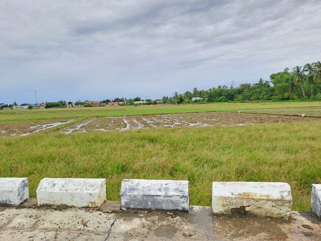 1000373283.jpg
