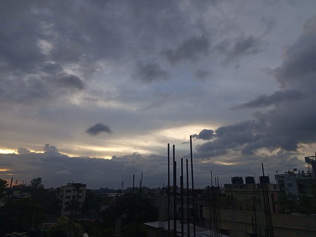 1000010964.jpg