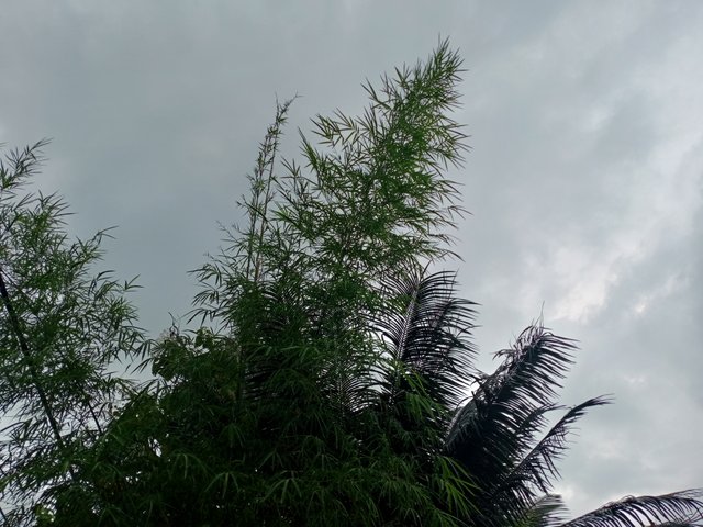 IMG20250730174259.jpg