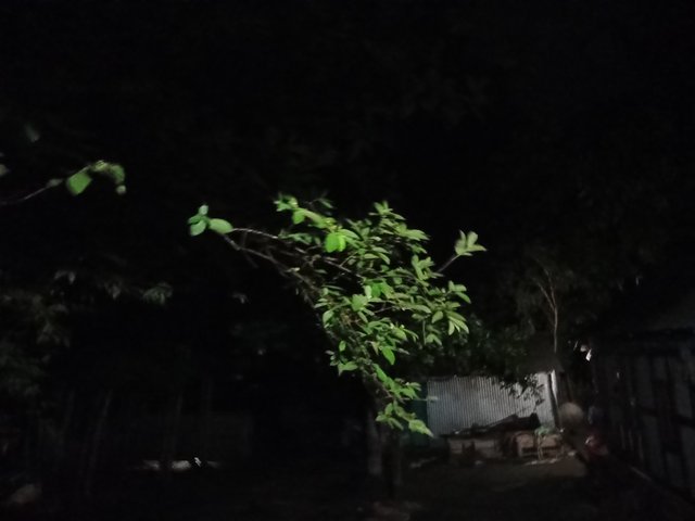20250501_195958.jpg