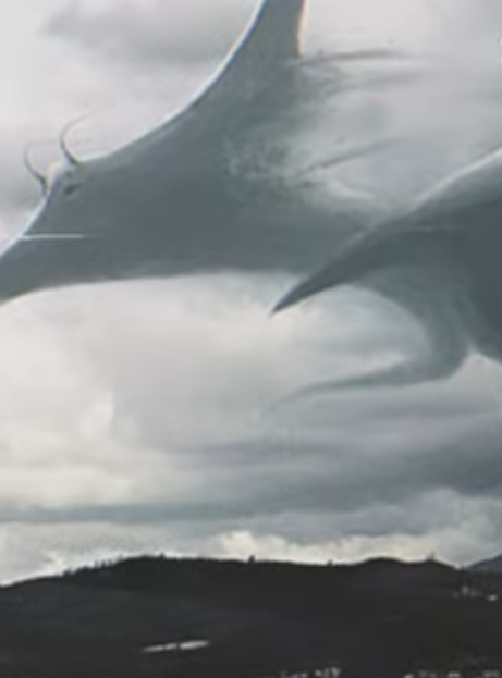 Mant y Shark I.png