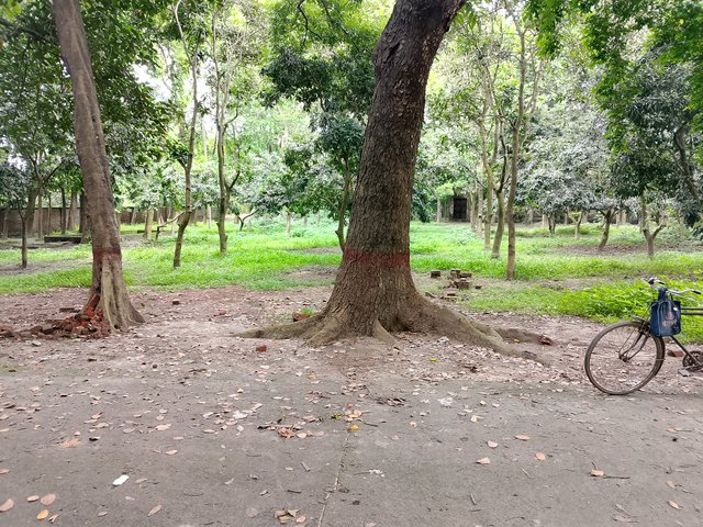 1000042148.jpg