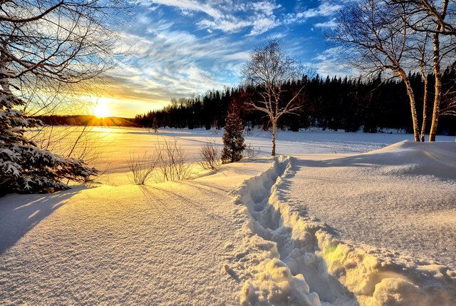 winter-landscape-636634_1280.jpg