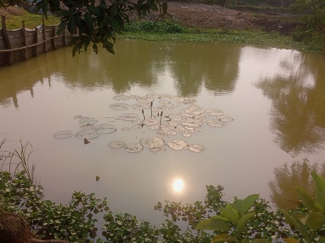 IMG20250512155450.jpg