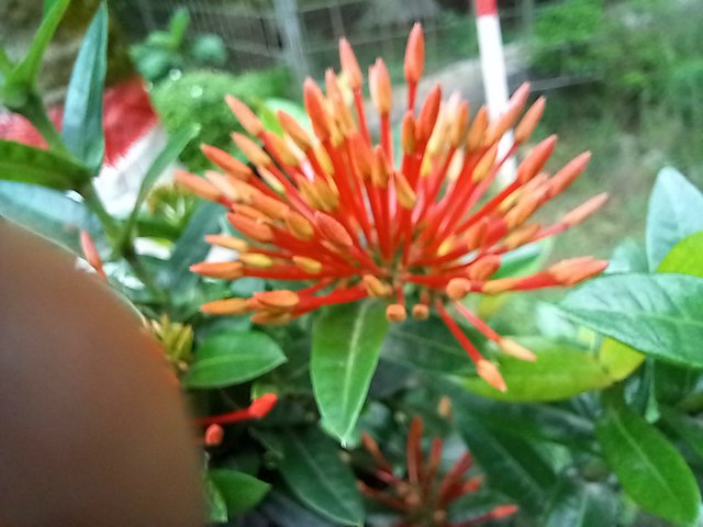 20250619_120744.jpg