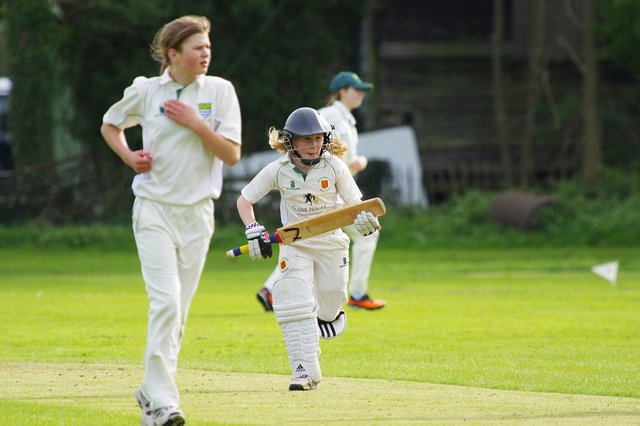 cricket-724622_1280.jpg