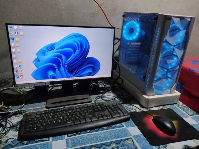 1000034173.jpg
