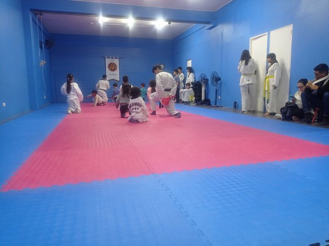 IMG_20250507_184729.jpg