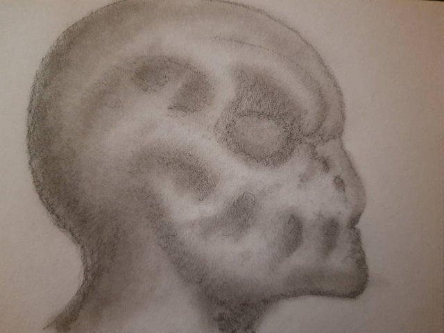 20250513_110414.jpg