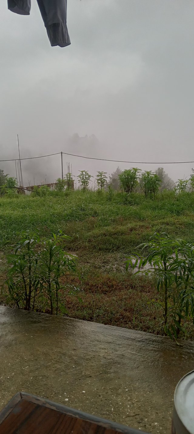 20250814_164348.jpg