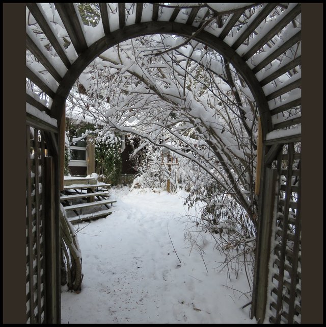 view through arches at snowy scene in yard.JPG