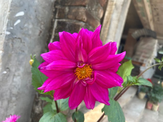 IMG_9431.jpeg