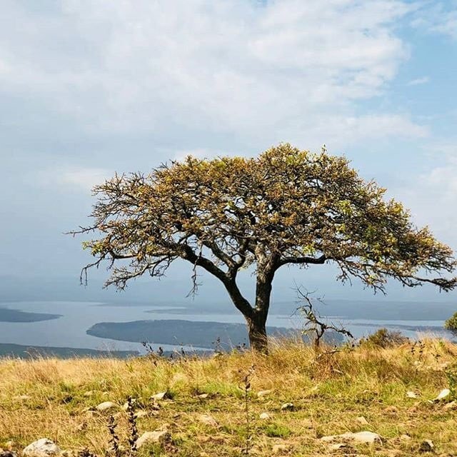 Lake Ihema.jpg