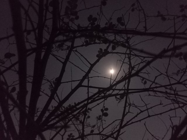 IMG20250213215847.jpg