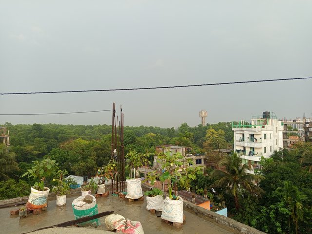 1000007430.jpg