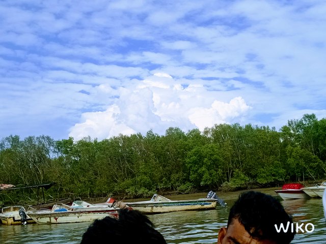IMG_20241129_135320870.jpg