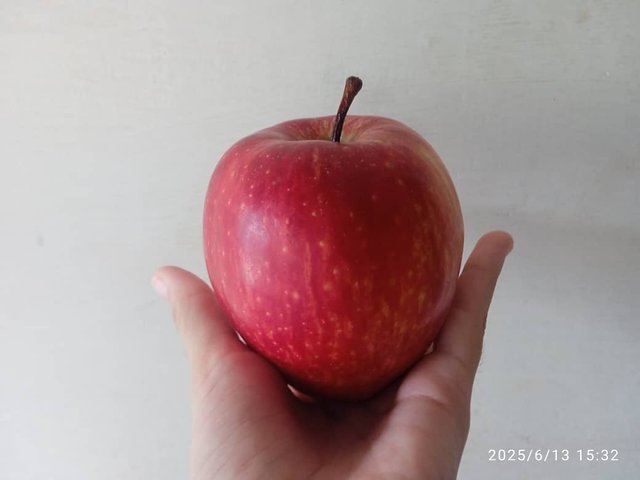 IMG-20250614-WA0003.jpg