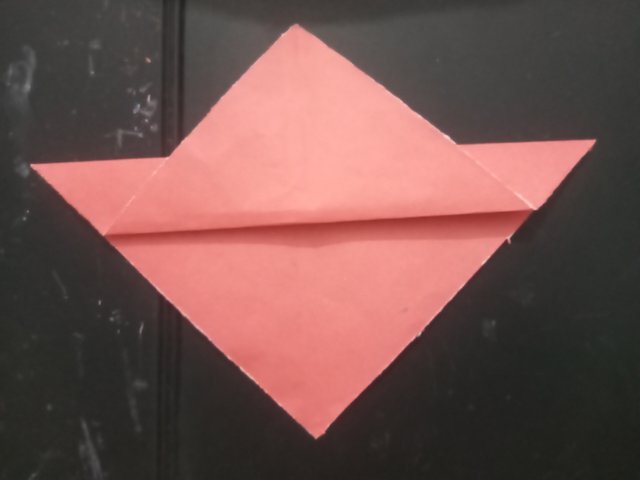 1000031552.jpg