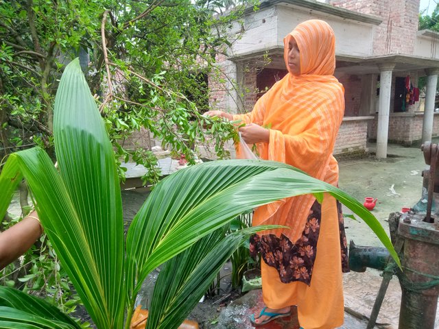 IMG20251002125353.jpg