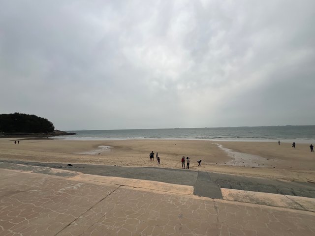 IMG_9433.jpeg