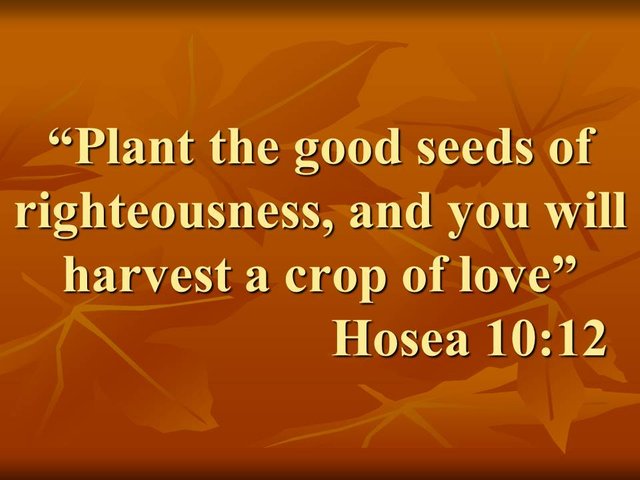 The spiritual path to God. Plant the good seeds of righteousness, and you will harvest a crop of love. Hosea 10,12.jpg