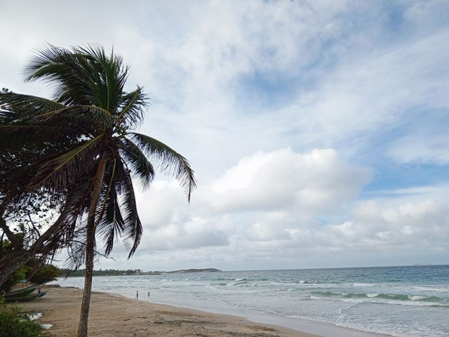 IMG_20250503_164845_140.jpg