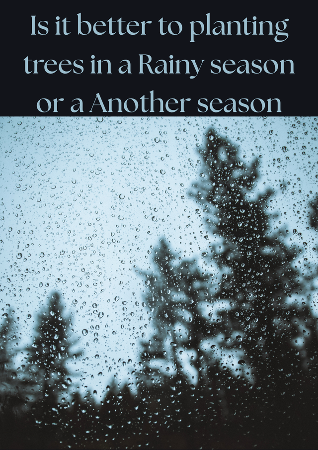 Blue & White Minimalist Rainy Day Comforts Meditation Magazine Page .png
