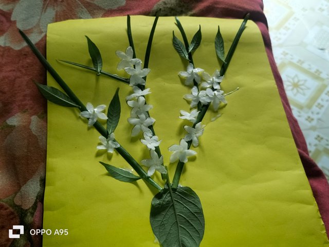IMG20250604092120.jpg